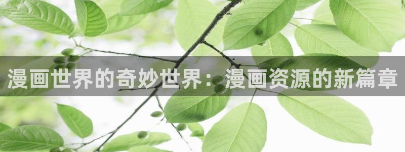 漫画屋漫画分类